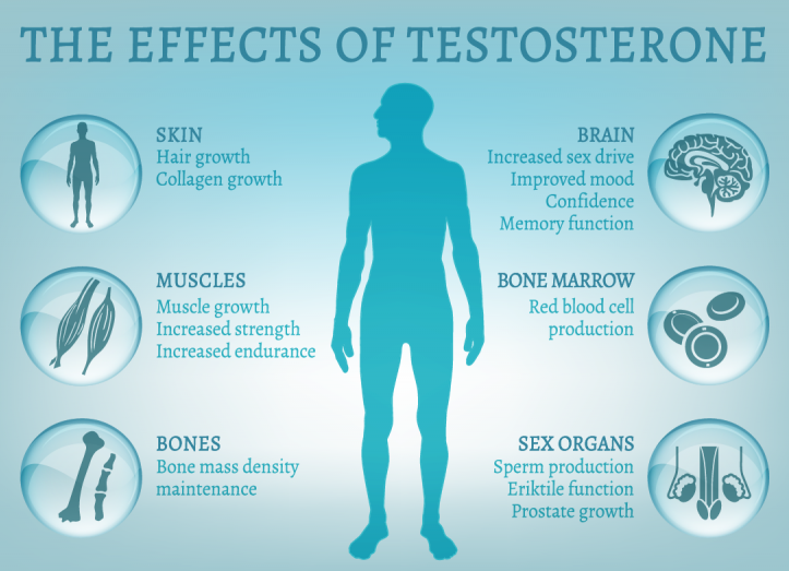 Testosterone Replacement Therapy - New Creation MediCosmetic