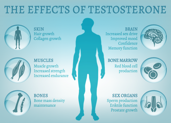 Testosterone Replacement Therapy New Creation MediCosmetic